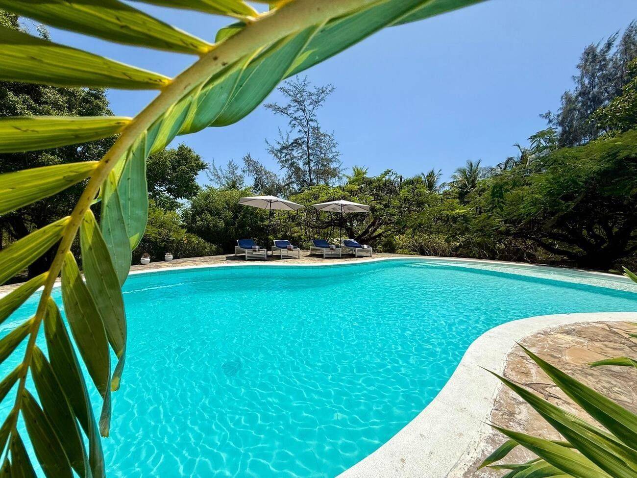 Private pool framed by palm fronds